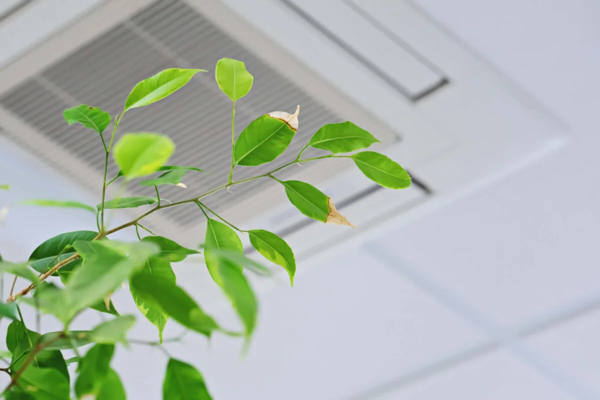 Indoor Air Quality Prestige Duct Cleaning